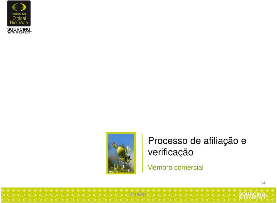 verificação