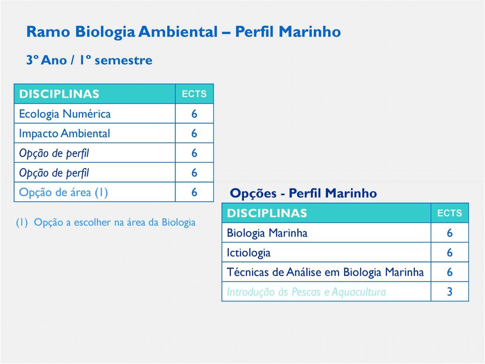 Opção a escolher na área da Biologia Opções - Perfil Marinho Biologia Marinha 6