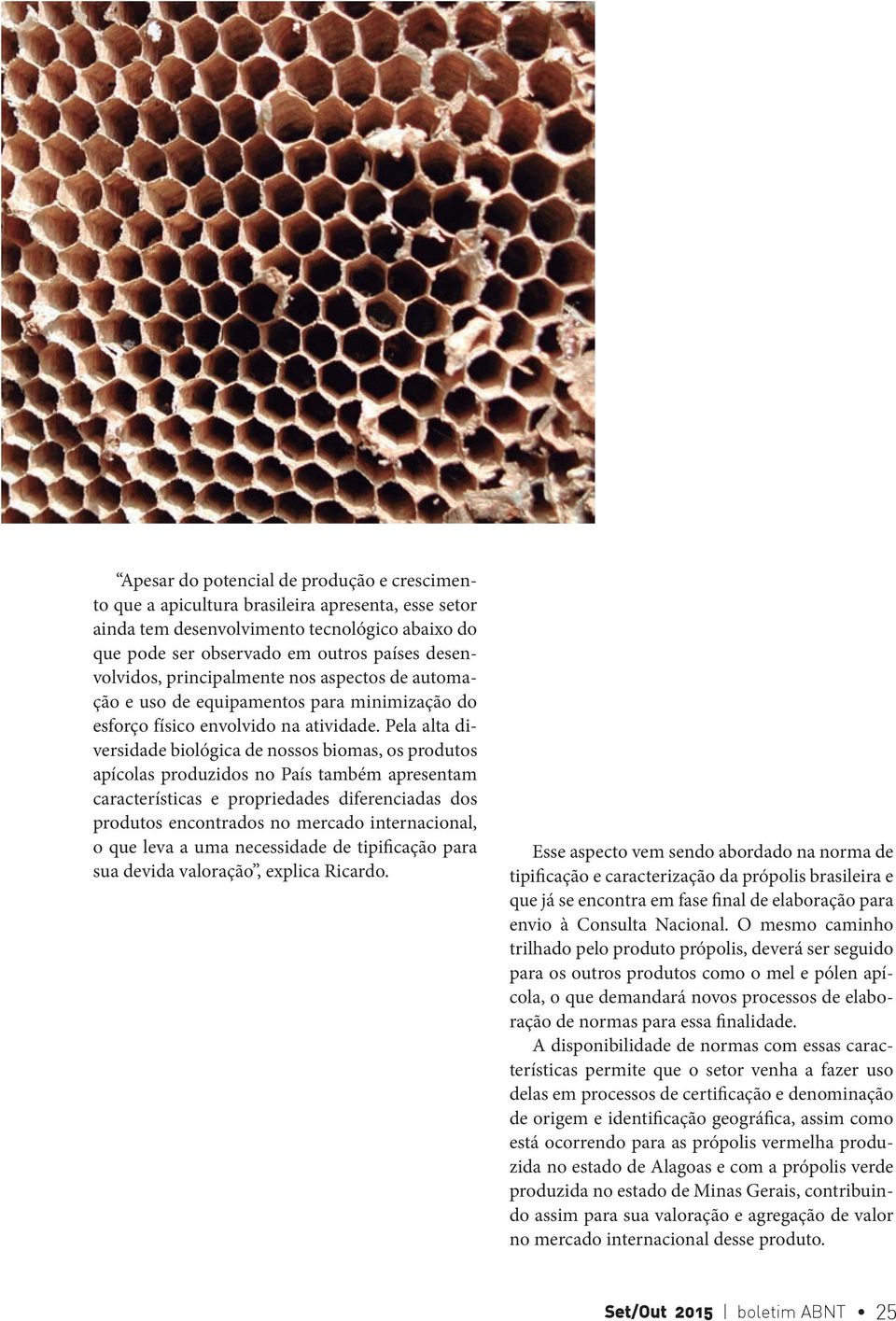 Pela alta diversidade biológica de nossos biomas, os produtos apícolas produzidos no País também apresentam características e propriedades diferenciadas dos produtos encontrados no mercado