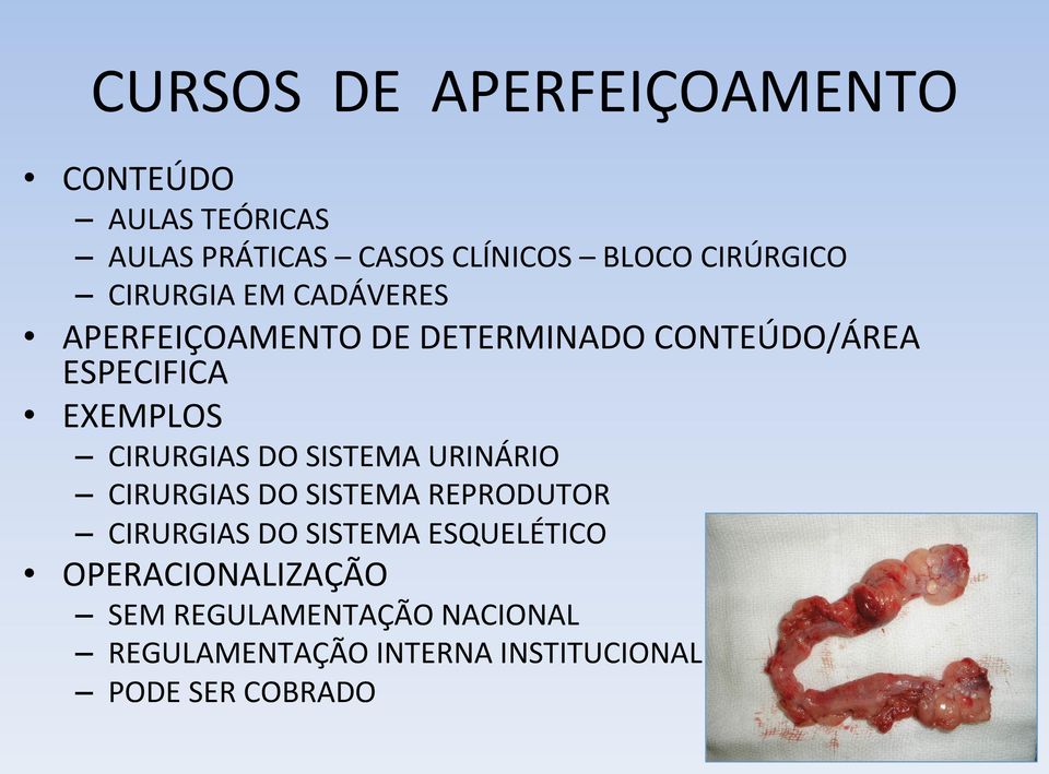 EXEMPLOS CIRURGIAS DO SISTEMA URINÁRIO CIRURGIAS DO SISTEMA REPRODUTOR CIRURGIAS DO SISTEMA