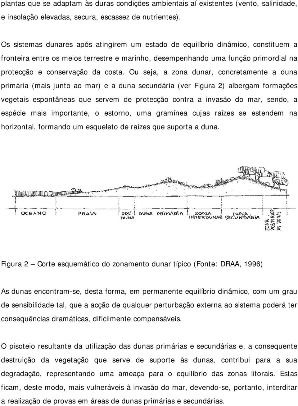 Ou seja, a zona dunar, concretamente a duna primária (mais junto ao mar) e a duna secundária (ver Figura 2) albergam formações vegetais espontâneas que servem de protecção contra a invasão do mar,