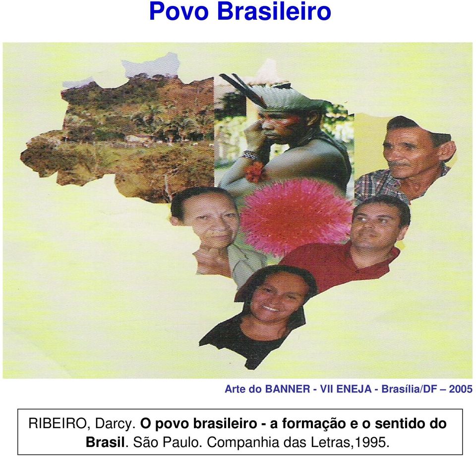 O povo brasileiro - a formação e o sentido