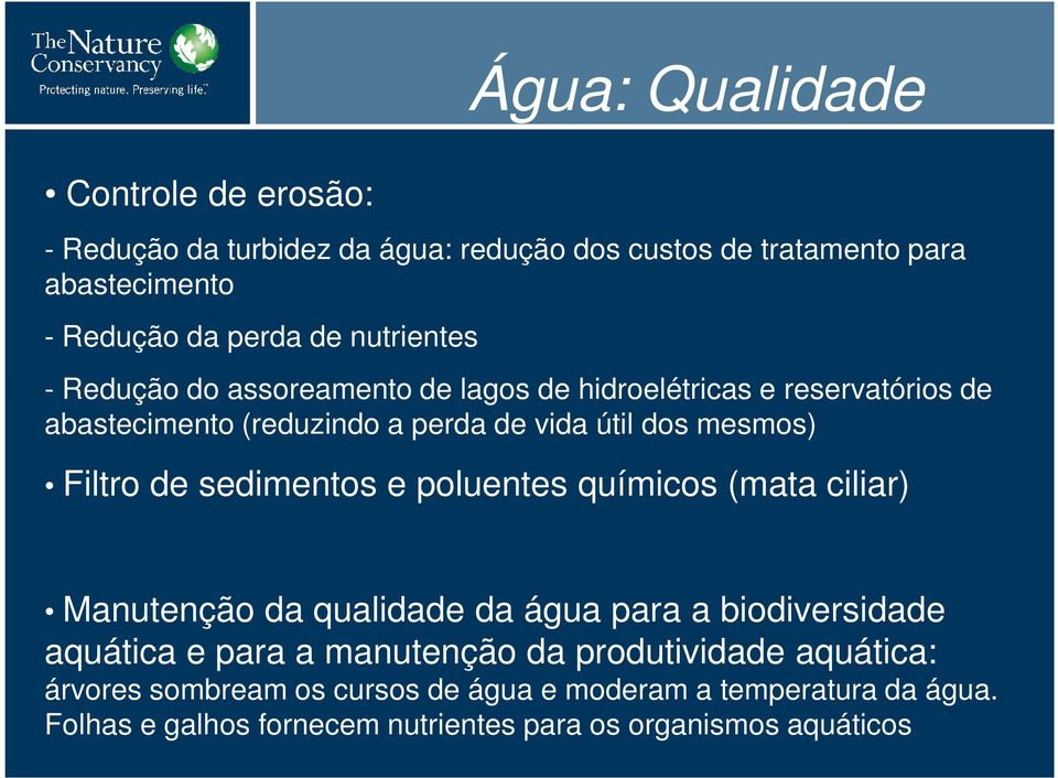 Filtro de sedimentos e poluentes químicos (mata ciliar) Manutenção da qualidade da água para a biodiversidade aquática e para a manutenção da