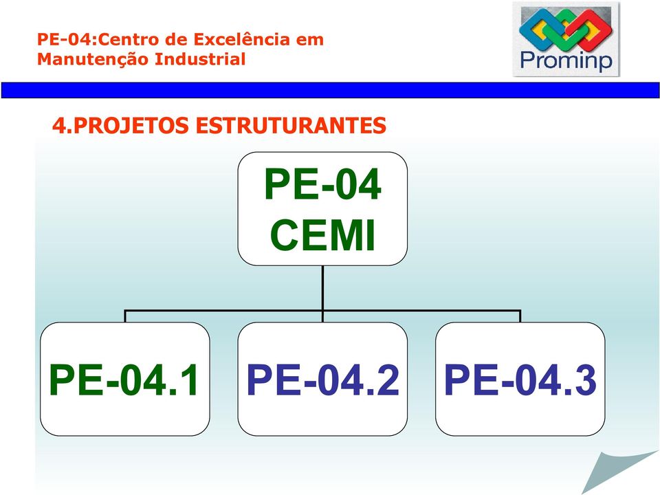 PROJETOS ESTRUTURANTES