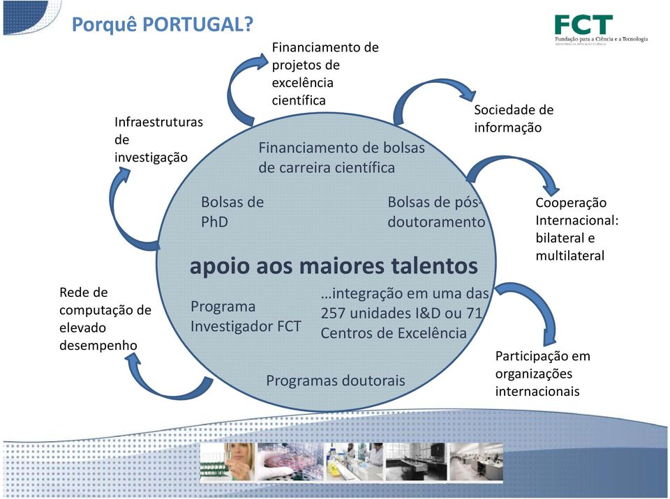 científica Sociedade de informação Rede de computação de elevado desempenho Bolsas de PhD Bolsas de pósdoutoramento apoio