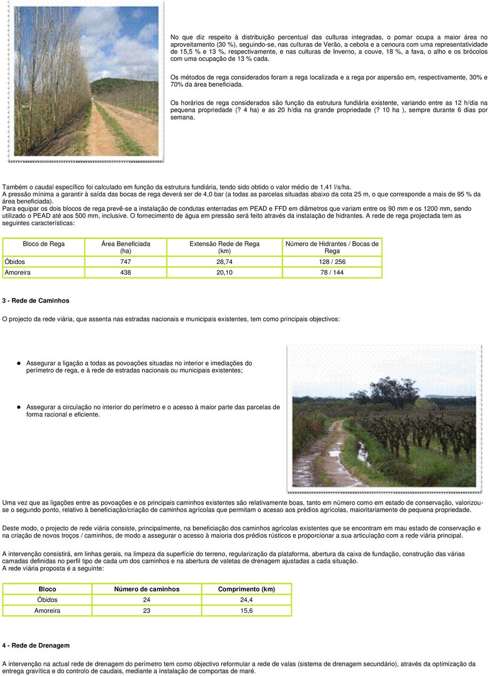 Os métodos de rega considerados foram a rega localizada e a rega por aspersão em, respectivamente, 30% e 70% da área beneficiada.