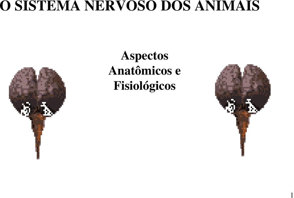 ANIMAIS Aspectos