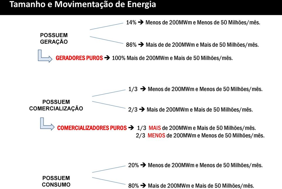 1/3 Menos de 200MWm e Menos de 50 Milhões/mês. POSSUEM COMERCIALIZAÇÃO 2/3 Mais de 200MWm e Mais de 50 Milhões/mês.