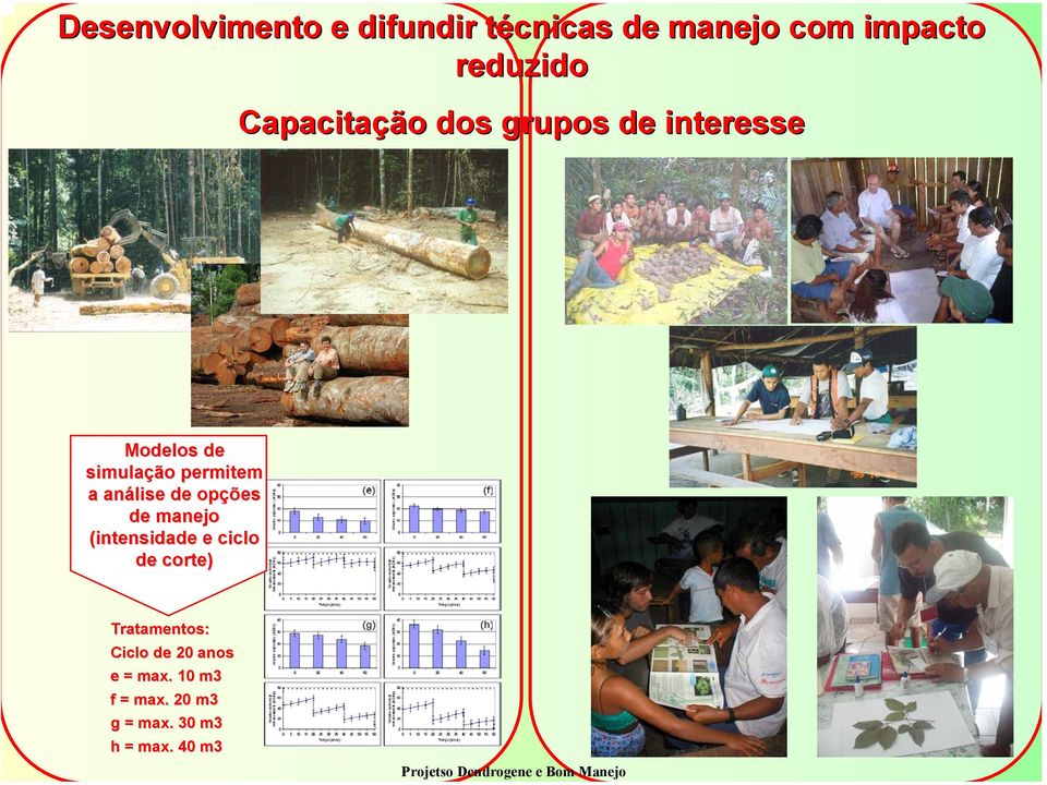 manejo (intensidade e ciclo de corte) Tratamentos: Ciclo de 20 anos e = max.