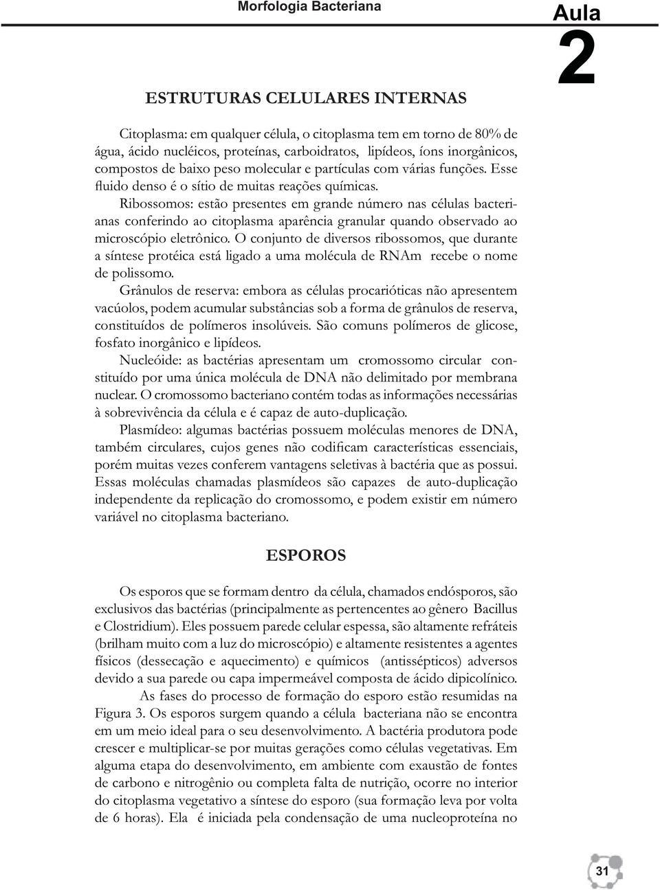 Ribossomos: estão presentes em grande número nas células bacterianas conferindo ao citoplasma aparência granular quando observado ao microscópio eletrônico.