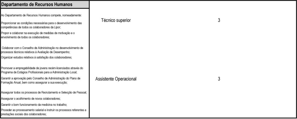 técnicos relativos à Avaliação de Desempenho; Organizar estudos relativos à satisfação dos colaboradores; Promover a empregabilidade de jovens recém-licenciados através do Programa de Estágios