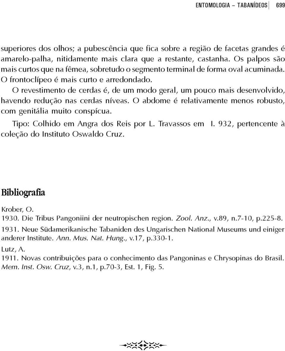 O revestimento de cerdas é, de um modo geral, um pouco mais desenvolvido, havendo redução nas cerdas níveas. O abdome é relativamente menos robusto, com genitália muito conspícua.