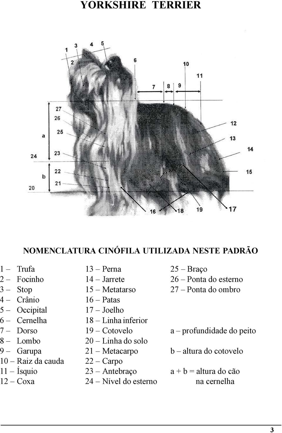 inferior 7 Dorso 19 Cotovelo a profundidade do peito 8 Lombo 20 Linha do solo 9 Garupa 21 Metacarpo b altura do