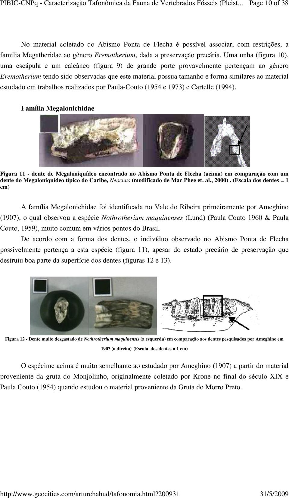 material estudado em trabalhos realizados por Paula-Couto (1954 e 1973) e Cartelle (1994).