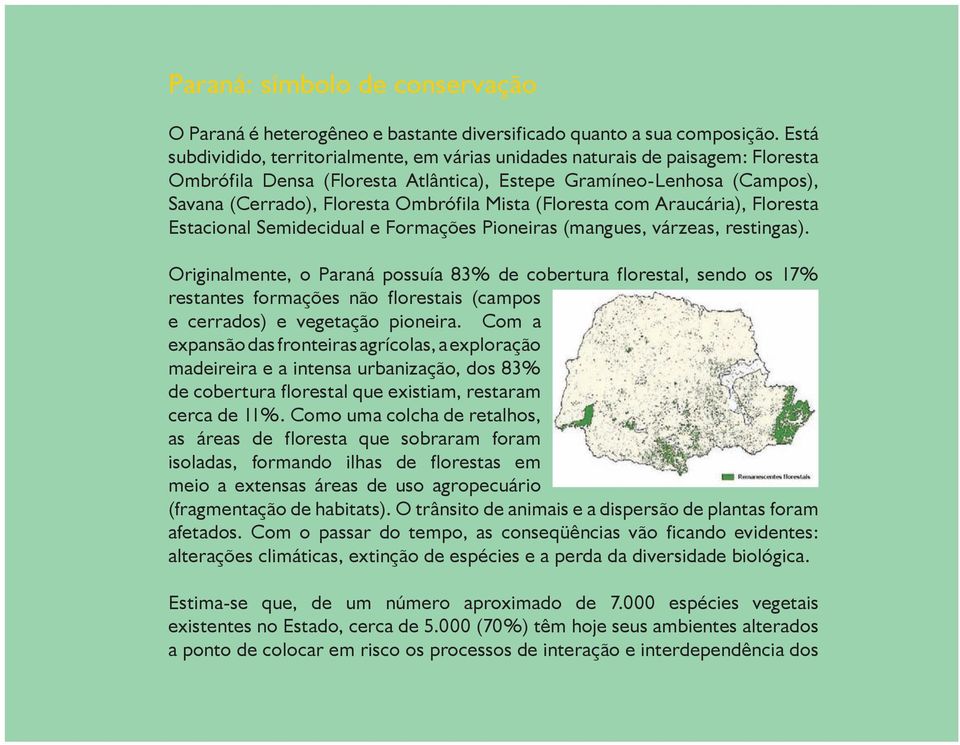 Mista (Floresta com Araucária), Floresta Estacional Semidecidual e Formações Pioneiras (mangues, várzeas, restingas).