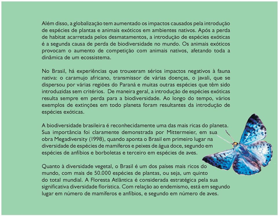 Os animais exóticos provocam o aumento de competição com animais nativos, afetando toda a dinâmica de um ecossistema.