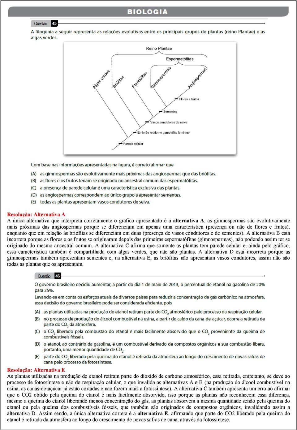 A alternativa B está incorreta porque as flores e os frutos se originaram depois das primeiras espermatófitas (gimnospermas), não podendo assim ter se originado do mesmo ancestral comum.