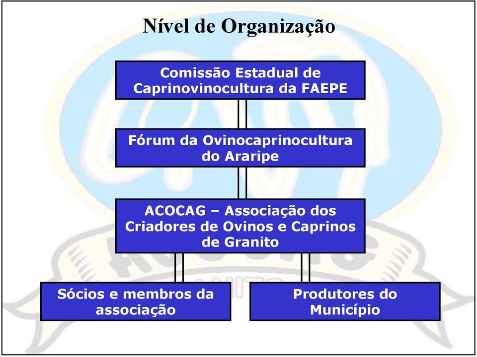 do Araripe ACOCAG Associação dos Criadores de Ovinos e