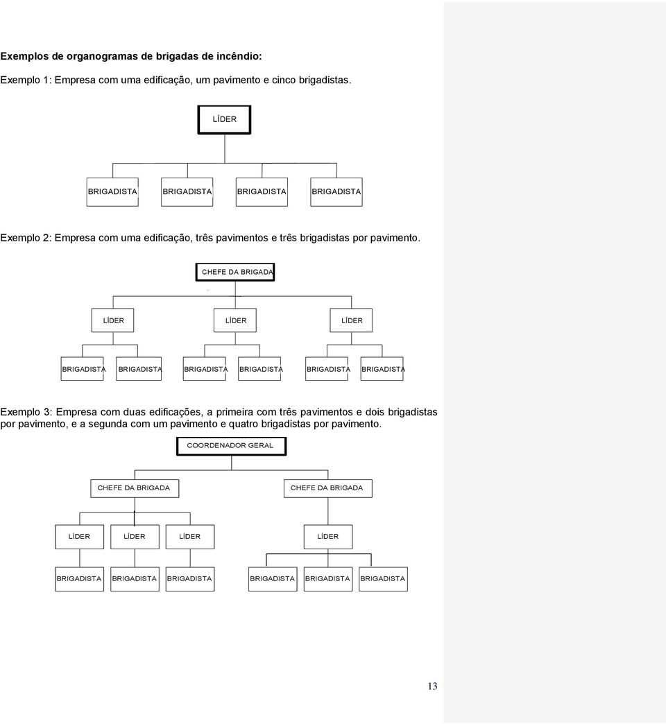 CHEFE DA BRIGADA LÍDER LÍDER LÍDER BRIGADISTA BRIGADISTA BRIGADISTA BRIGADISTA BRIGADISTA BRIGADISTA Exemplo 3: Empresa com duas edificações, a primeira com três