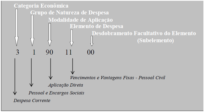 A Figura 6 ilustra os níveis e códigos, enquanto a Figura 7 ilustra o que cada nível pretende se propõe a responder.