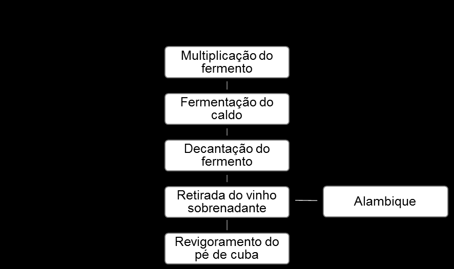 16 Figura 2. Esquema do processo de fermentação. Fonte: Adaptado de Boscolo (2001). O desempenho do processo fermentativo é significativamente afetado pela linhagem da levedura (BASSO, 1996).