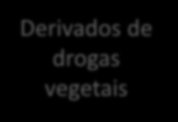 O que é Fitoterapia?