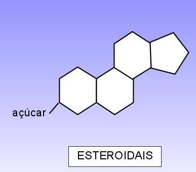 Saponinas Glicosídeos de esteroides ou de terpenos policíclicos; Substâncias vegetais