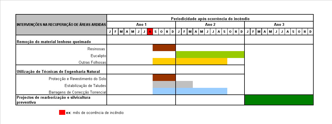 CADERNO I PLANO DE ACÇÃO Quadro 9: Calendarização