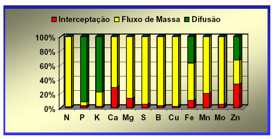 Influência do ph do solo na disponibilidade de nutrientes MOVIMENTO DE ÍONS DA SOLUÇÃO DO SOLO PARA SUPERFÍCIE DAS RAÍZES FLUXO DE MASSA É o movimento de nutrientes da solução do solo em direção à