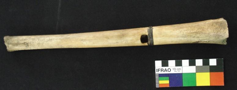 Figura 30. Indivíduo FE11, o flautista. Fonte: Acervo do Laboratório e Museu de Arqueologia da UNICAP. Figura 31. Flauta em osso. Foto: Viviane Castro (2009).
