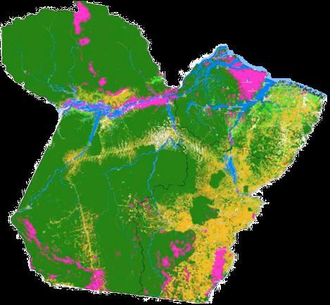 PARÁ: Uma Rápida Caracterização Uso da Terra 6.3 13.