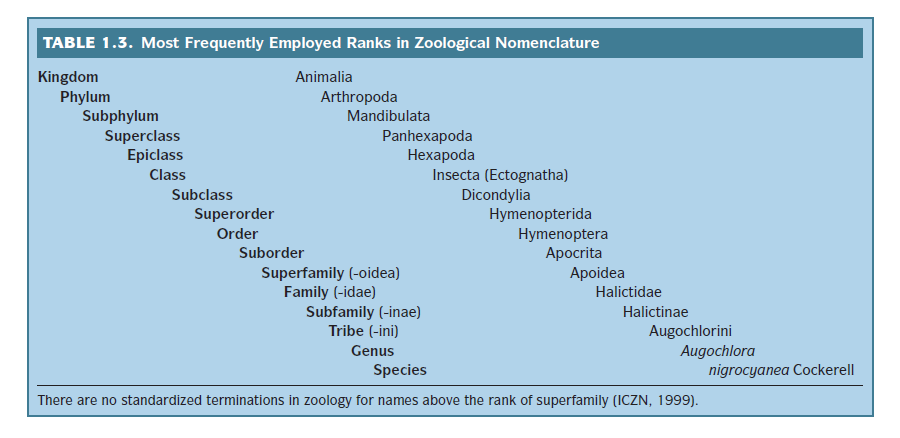 Taxon e categoria taxonômica Táxon é o agrupamento de indivíduos; A categoria refere-se ao status de um agrupamento em um esquema de classificação.