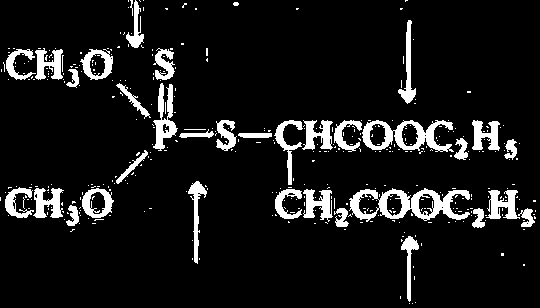 Mecanismos de resistência a inseticidas Mecanismos fisiológicos Mecanismos comportamentais Mecanismos bioquímicos Reclusão em estruturas