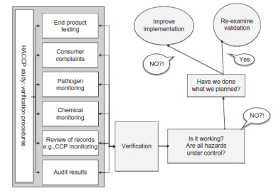 Sistema HACCP validação vs.