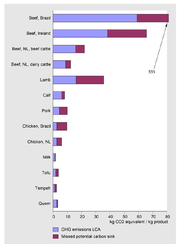 Avaliações de Ciclo de Vida FAO