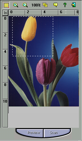 A janela de pré-visualização e os botões A janela de pré-visualização é o local onde aparece a imagem de pré-visualização.