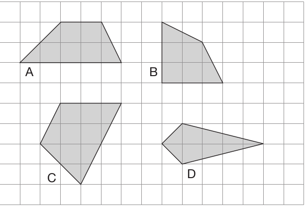 [4] [204080] O chão à volta de uma piscina está pavimentado com mosaicos todos iguais, como mostra a figura. Qual é o nome do polígono representado por cada um dos mosaicos da figura?