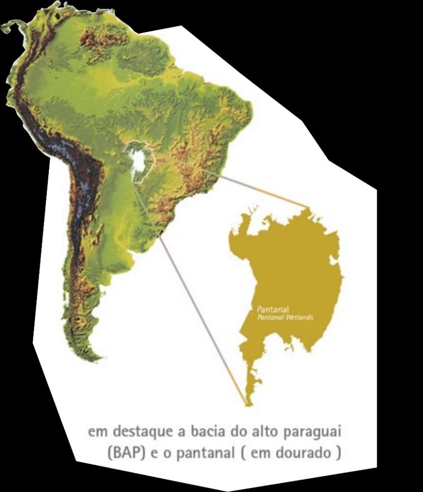 Localização e dimensão do Pantanal Faz parte da Bacia do Alto Paraguai (BAP) - 34% no Brasil e o restante na Argentina,