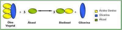 Figura 2-2 Equação Química do Processo de Transesterificação Figura 2-3 Equação Simplificada do Processo de Transesterificação A cana-de-açúcar, matéria prima do biodiesel em estudo, é largamente