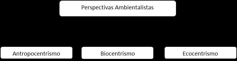 A educação ambiental enquanto valor Fig.