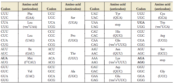 Tabela dos códons e