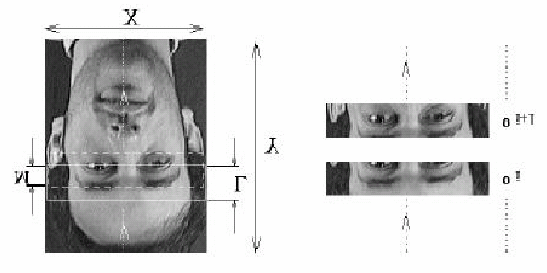 CAPÍTULO 3. RECONHECIMENTO DE FACES HUMANAS 50 Figura 3.5: Técnica de imagem modelo para reconhecimento HMM (NEFLAN, 1996). 3.4.
