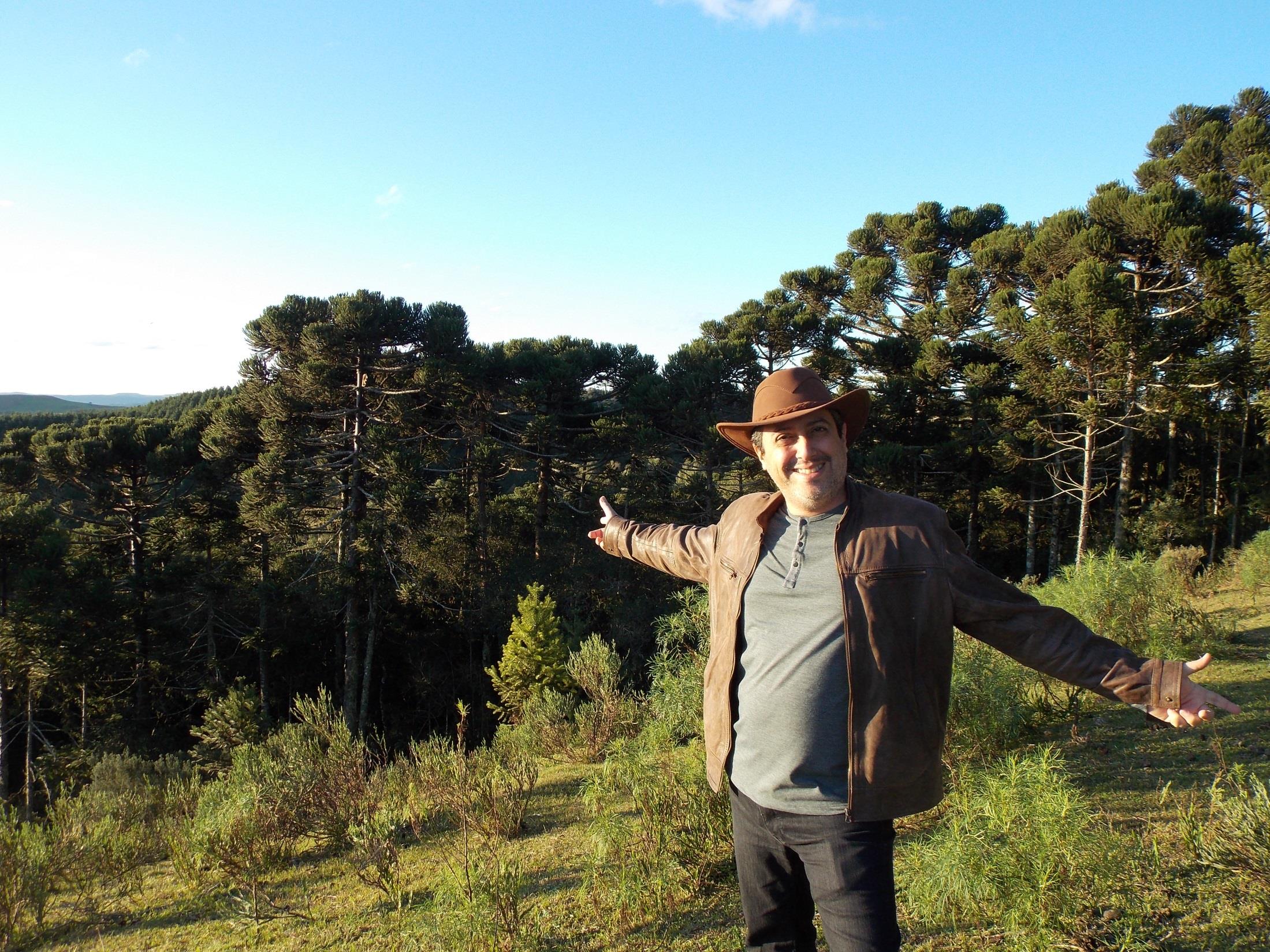 Os esforços para conservar a mata de araucárias, vegetação típica do Sul do país e um dos ecossistemas menos