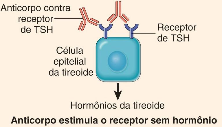 Hipersensibilidade mediada por anticorpos Tipo II: Ligação de