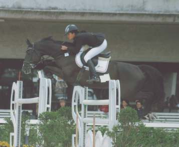 Piantella JMen -Representante Brasileira no Mundial Cavalos Novos 6 anos-lanaken Bélgica/01. -Campeã na Categoria 5 anos no CSI Agromen- 99.