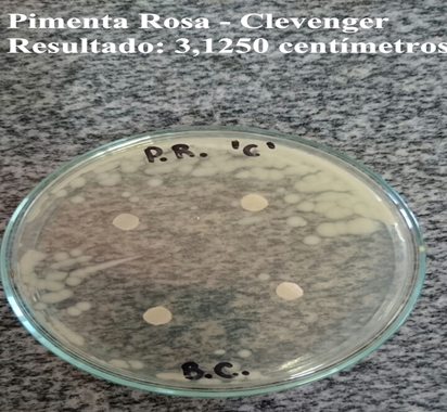 Gráfico 1 Inibição da bactéria E. coli. Figura 1 Placa de Petri da Pimenta Rosa com a bactéria E.