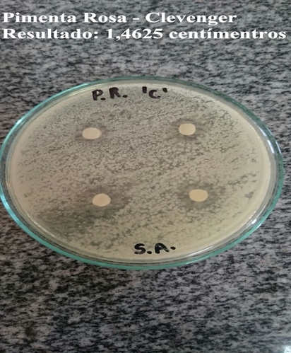Figura 3 Placa de Petri da Pimenta Rosa com a bactéria S. aureus. Gráfico 3 Inibição da bactéria S.