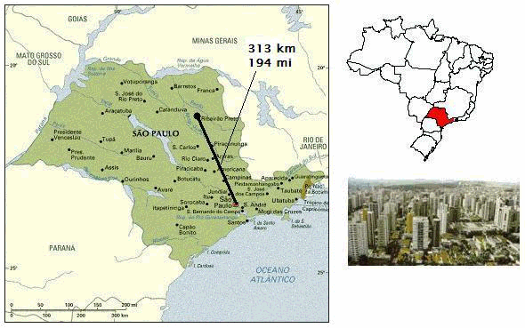 Apresentação do Município Ribeirão Preto está localizado na Região Nordeste do estado de São Paulo, Brasil. Distante 313Km da Capital do estado São Paulo, Ribeirão Preto está com 150 anos e 543.