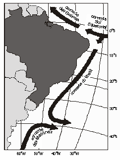 45 N Figura 3 Correntes superficiais que banham a costa brasileira (Fonte:www.sct.com.br). Da confluência CB-CM, tem se a formação da Água Central do Atlântico Sul (ACAS) (VALENTIN, 1994).