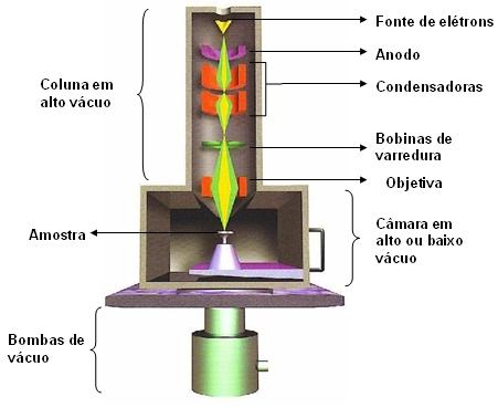 41 Figura 7 Representação esquemática dos componentes do Microscópio Eletrônico de Varredura (MEV). Adaptado de INSTITUTO DE FÍSICA USP (2012).